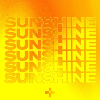 Sunshine - Ruff Loaderz & Ginchy feat. Salena Mastroianni