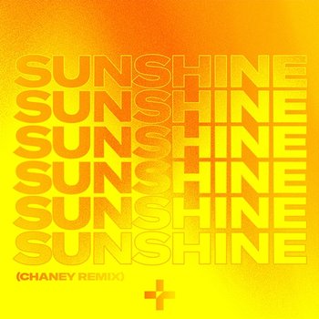 Sunshine - Ruff Loaderz & Ginchy feat. Salena Mastroianni