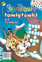 Supełkowe Łamigłówki