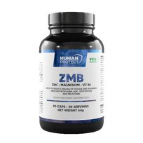 Suplement diety, Human Protect ZMB - 90 vkaps.