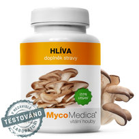 Suplement diety, MycoMedica BOCZNIAK 90 kaps. MycoMedica