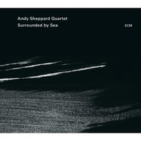 Surrounded By Sea Sheppard Andy
