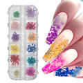 Suszone Kwiaty Do Paznokci Ozdoba Zestaw Box Zdobienie Do Akryli Do Żeli - Inny producent