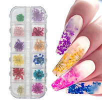 Suszone Kwiaty Do Paznokci Ozdoba Zestaw Box Zdobienie Do Akryli Do Żeli