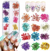 Suszone Kwiaty Do Zdobienia Do Paznokci Hybrydy Zestaw #1