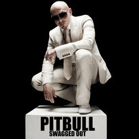 Swagged Out Pitbull
