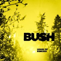 Swallowed Bush, glu