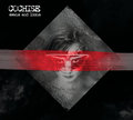 Swans And Lions - Cochise