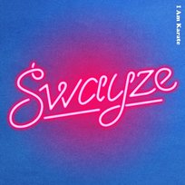 Swayze I Am Karate
