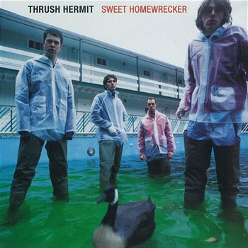 Sweet Homewrecker - Thrush Hermit