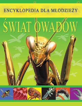 Świat owadów. Encyklopedia dla młodzieży