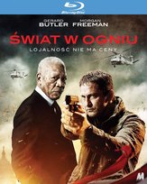 Świat w ogniu Waugh Ric Roman
