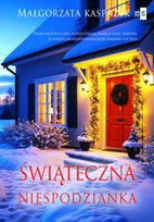 Literatura obyczajowa 