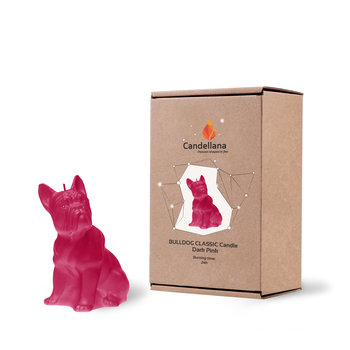 Świeca Candellana Bulldog Classic Dark  Pink - YouArtMe sp. z o.o.