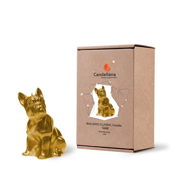 Świeca Candellana Bulldog Classic Gold - YouArtMe sp. z o.o.