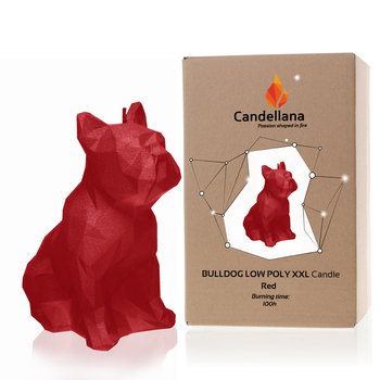 Świeca Candellana Bulldog Low Poly XXL Red - YouArtMe sp. z o.o.