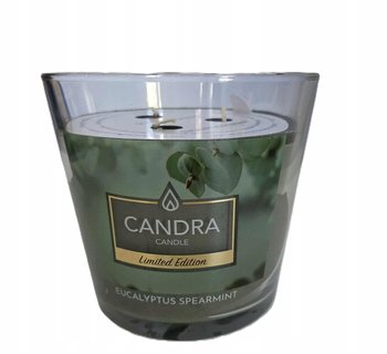 ŚWIECA ZAPACHOWA CANDRA EUCALYPTUS & SPEARMINT 13.5 x 12.5 cm 520g - inna (Inny)