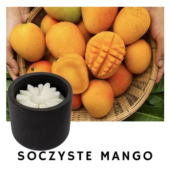 Swieca zapachowa sojowa w betonowym pojemniku Soczyste mango 160 ml czarny - Inna producent