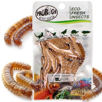 Świeże larwy drewnojada, miękkie i soczyste, ProBugs Eco-Fresh Superworm 20g - Inna marka