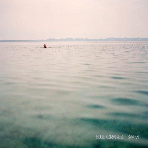 Swim Various Artists Muzyka Sklep