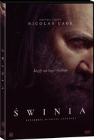 Świnia