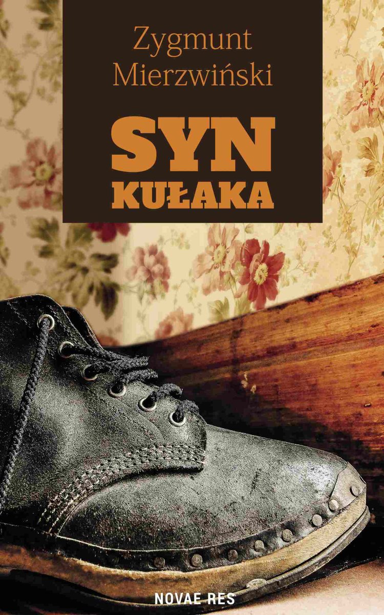 Syn Kułaka - ebook epub