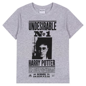 Szara koszulka z krótkimi rękawami Harry Potter 158 cm - sarcia.eu
