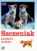 Szczeniak przybywa do domu Harries Brigitte