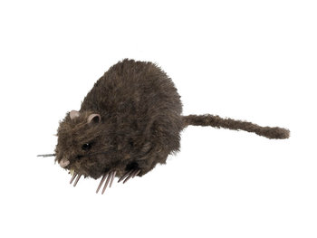 Szczur na Halloween - 15 cm - 1 szt. - Boland