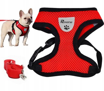 SZELKI BEZUCISKOWE DO MAŁEGO PSA KOTA + SMYCZ r. S - Reverse