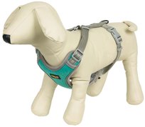 Szelki CHICO Trend Run, turkusowe, rozmiar M, 2x45-60 cm