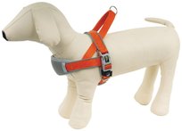 Szelki regulowane CHICO Trend Norway, pomarańczowe, rozmiar M, 50-64 cm