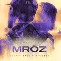 Szepty spoza nicości. Seweryn Zaorski. Tom 3 - audiobook - Mróz Remigiusz