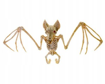 Szkielet Nietoperza Nietoperz Kości Dekoracja Wisząca Ozdoba Halloween - Korbi