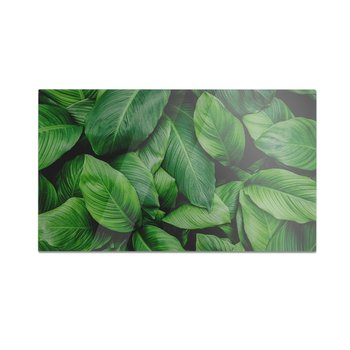 Szklana deska kuchenna HOMEPRINT Zielone liście tropikalne 60x52 cm - HOMEPRINT