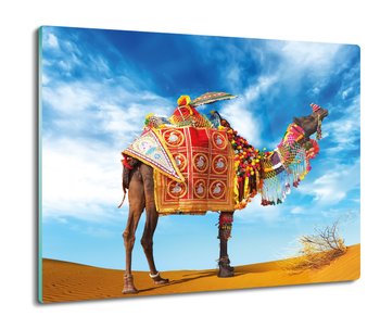 szklana splashback z foto Wielbłąd pustynia 60x52, ArtprintCave - ArtPrintCave