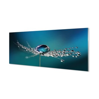 Szklany panel Krople dmuchawiec makro 125x50 cm - Tulup