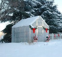 Szklarnia ogrodowa Palram 701631 310 x 185 m x 209 cm poliwęglan mocny