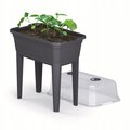 Szklarnia Rozsadnik Mini Szklarnia Respana Zielnik Na Taras Balkon - Antracytowy - PROSPERPLAST