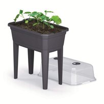 Szklarnia Rozsadnik Mini Szklarnia Respana Zielnik Na Taras Balkon - Antracytowy PROSPERPLAST