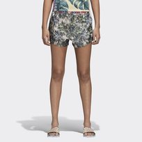 Szorty adidas Originals Farm Shorts CW4728 multiko Adidas