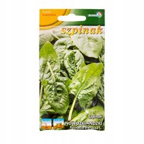 SZPINAK NOWOZELANDZKI bardzo plenny NASIONA WARZYW p. 0109080CIN0EA, 66221CIN0DA