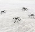 Sztuczna pajęczyna, Halloween, biała - GoDan