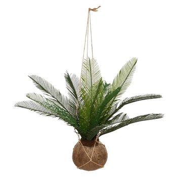 Sztuczna palma w doniczce z kokosa, wisząca, wys. 50 cm - Atmosphera