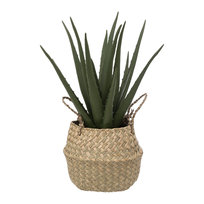 Sztuczna roślina ALOES w koszyku, 37 cm