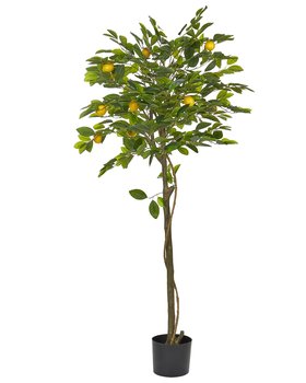Sztuczna roślina doniczkowa 156 cm LEMON TREE - Beliani