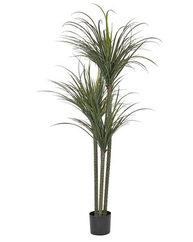 Sztuczna roślina doniczkowa 198 cm DRACAENA ANITA - Beliani