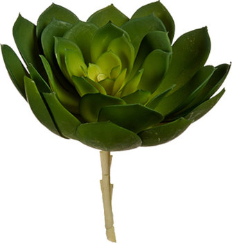 sztuczna roślina Echeveria 19 x 17 cm zielona - TWM