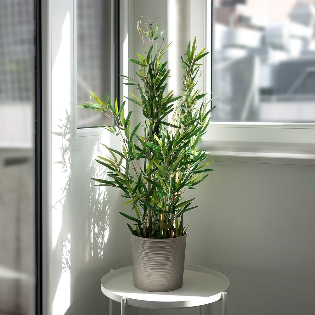 bambus 150 cm kaufen Bambusstab 150 cm - Ø am stärkeren Ende: 18 - 20 mm 🎋🌱 main image 1