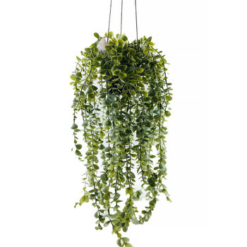 Sztuczna roślina wisząca SENECIO, 60 cm - Home Styling Collection